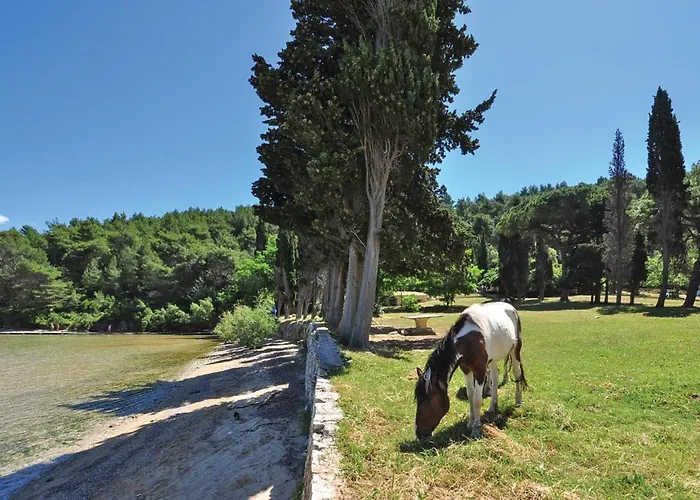 Awesome In Nerezisca With Wifi